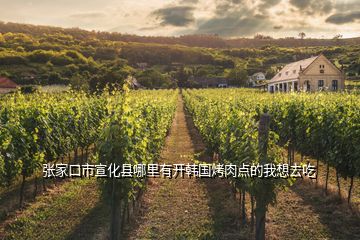 張家口市宣化縣哪里有開韓國(guó)烤肉點(diǎn)的我想去吃