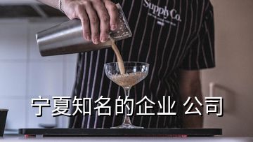 寧夏知名的企業(yè) 公司