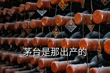 茅臺是那出產的