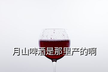 月山啤酒是那里產的啊