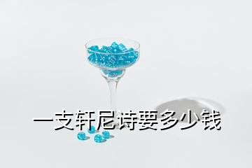 一支軒尼詩(shī)要多少錢