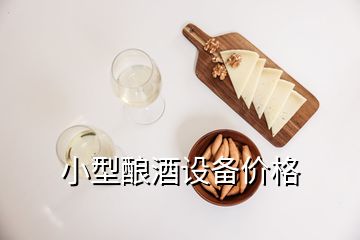 小型釀酒設(shè)備價(jià)格