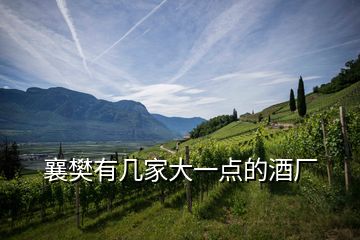 襄樊有幾家大一點的酒廠