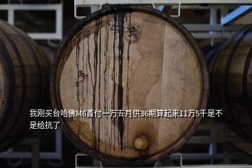 我剛買臺(tái)哈佛M6首付一萬(wàn)五月供36期算起來(lái)11萬(wàn)5千是不是給抗了