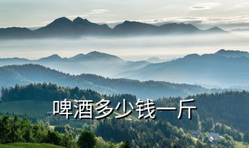 啤酒多少錢(qián)一斤