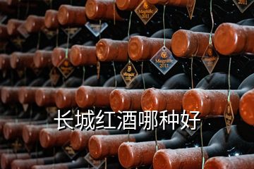 長(zhǎng)城紅酒哪種好
