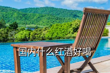 國(guó)內(nèi)什么紅酒好喝