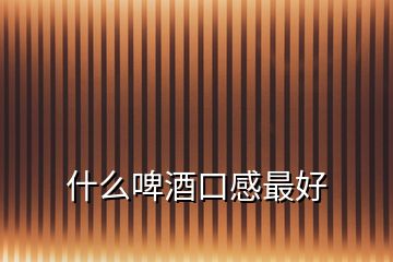 什么啤酒口感最好