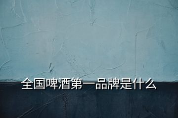 全國(guó)啤酒第一品牌是什么