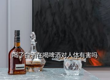 喝了白灑在喝啤酒對人體有害嗎