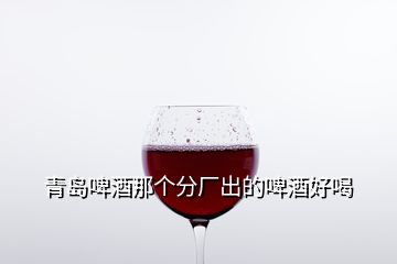 青島啤酒那個(gè)分廠出的啤酒好喝
