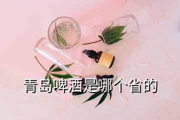 青島啤酒是哪個省的