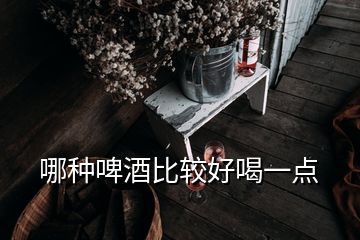 哪種啤酒比較好喝一點(diǎn)