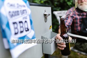 誰曉得德國(guó)啤酒排名哪個(gè)品牌比較好