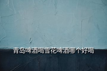 青島啤酒喝雪花啤酒哪個(gè)好喝