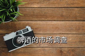 啤酒的市場調查