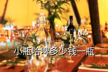 小瓶哈啤多少錢一瓶