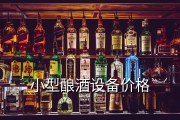 小型釀酒設備價格