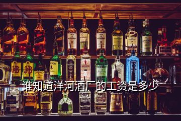誰(shuí)知道洋河酒廠(chǎng)的工資是多少