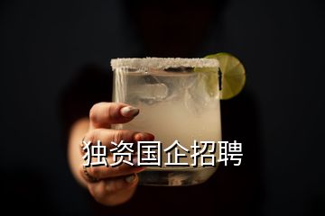 獨(dú)資國(guó)企招聘