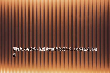 鳳舞九天dj現(xiàn)場(chǎng)5 花香后面那首歌是什么 20分鐘左右開(kāi)始的