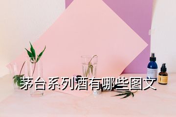 茅臺(tái)系列酒有哪些圖文