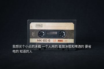 我想買個小點的冰箱 一個人用的 能放冰棍和啤酒的 要省電的 知道的人