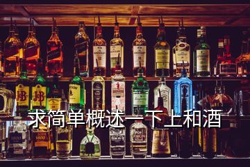 求簡(jiǎn)單概述一下上和酒