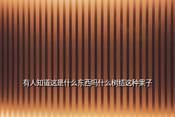 有人知道這是什么東西嗎什么樹結(jié)這種果子