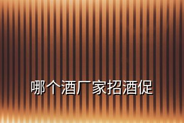 哪個(gè)酒廠家招酒促