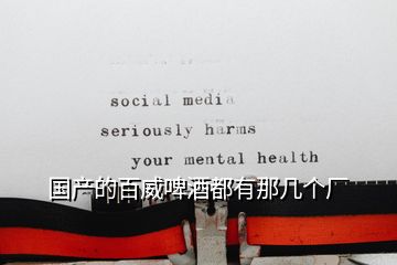 國產的百威啤酒都有那幾個廠