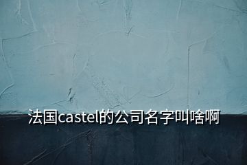法國castel的公司名字叫啥啊