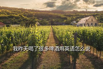 我昨天喝了很多啤酒用英語怎么說