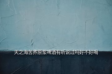 天之海苦蕎原漿啤酒有聽說過嗎好不好喝