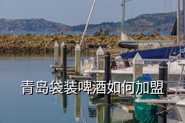青島袋裝啤酒如何加盟