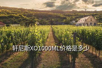 軒尼斯XO1000ML價(jià)格是多少