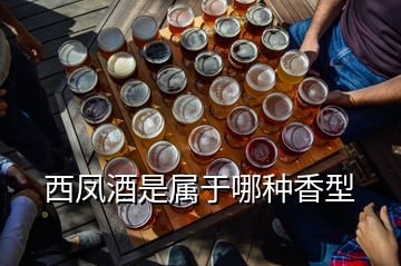 西鳳酒是屬于哪種香型