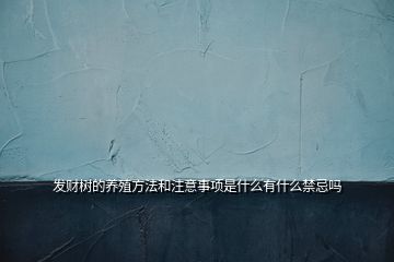 發(fā)財樹的養(yǎng)殖方法和注意事項(xiàng)是什么有什么禁忌嗎