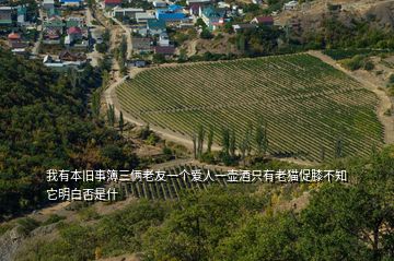 我有本舊事簿三倆老友一個(gè)愛人一壺酒只有老貓促膝不知它明白否是什