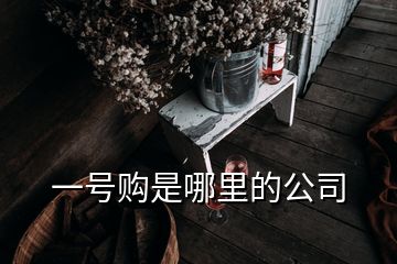 一號(hào)購(gòu)是哪里的公司