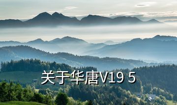 關于華唐V19 5