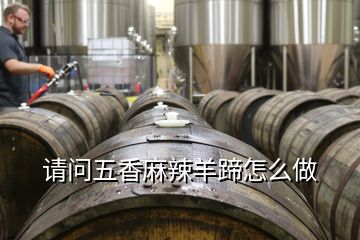 請問五香麻辣羊蹄怎么做
