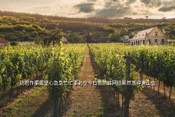 勸君作事需堅心急急忙忙事必空今日檐前蛛網(wǎng)結(jié)果然落得滿山蟲