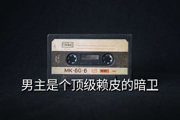 男主是個(gè)頂級賴皮的暗衛(wèi)