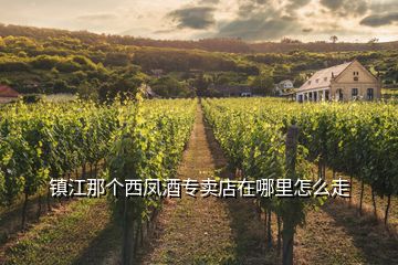 鎮(zhèn)江那個(gè)西鳳酒專賣店在哪里怎么走