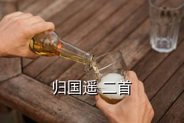 歸國(guó)遙 二首
