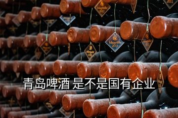 青島啤酒 是不是國有企業(yè)