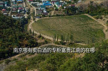 南京哪有賣(mài)白酒的專(zhuān)柜富貴江南的在哪