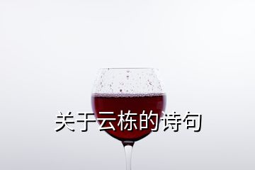關(guān)于云棟的詩句