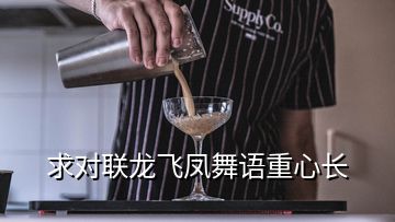 求對(duì)聯(lián)龍飛鳳舞語重心長(zhǎng)